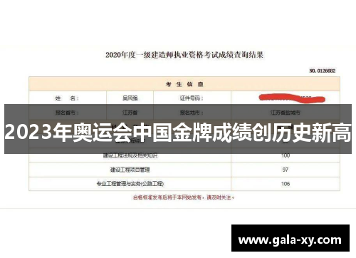 2023年奥运会中国金牌成绩创历史新高